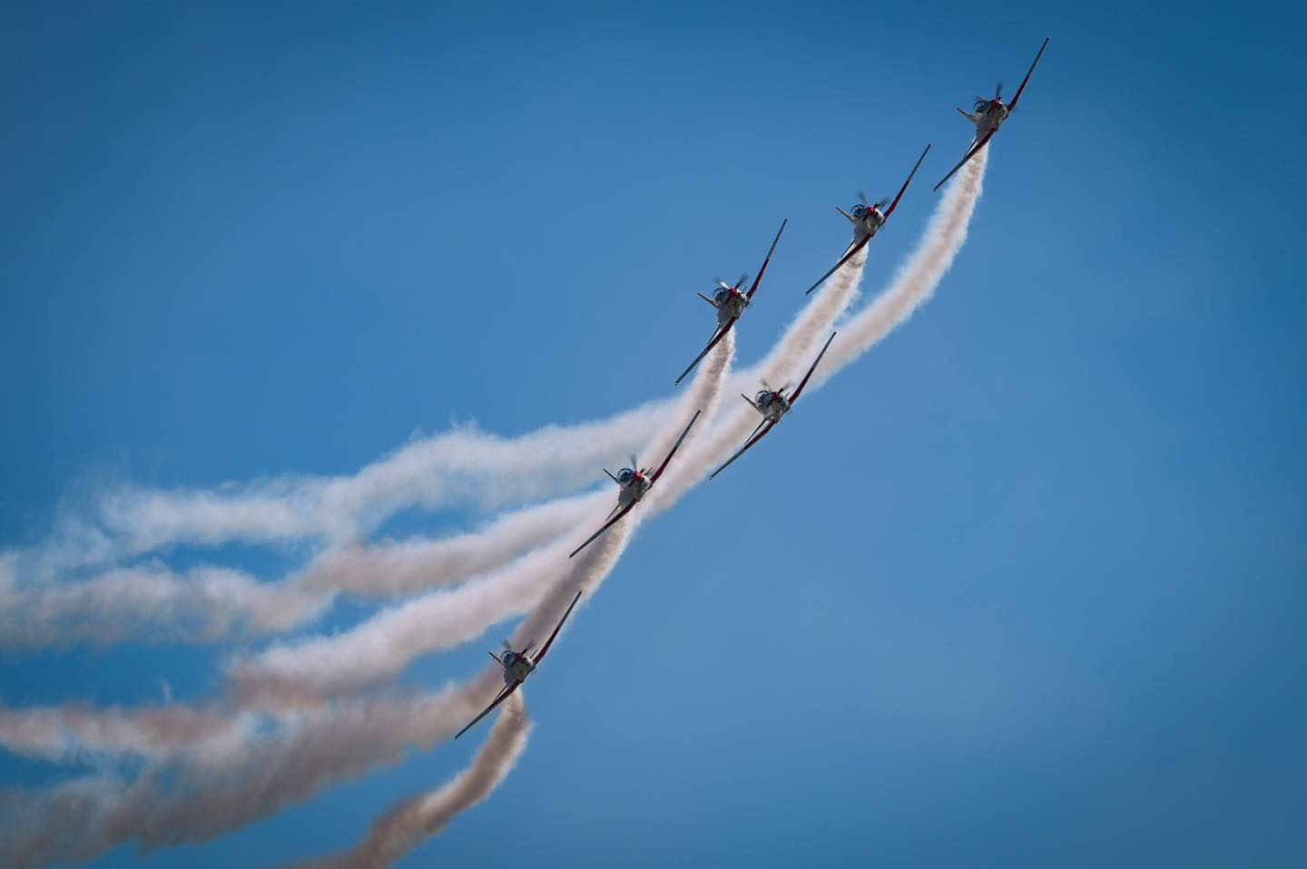 488885430 1192442599209127 61236968816292979 n