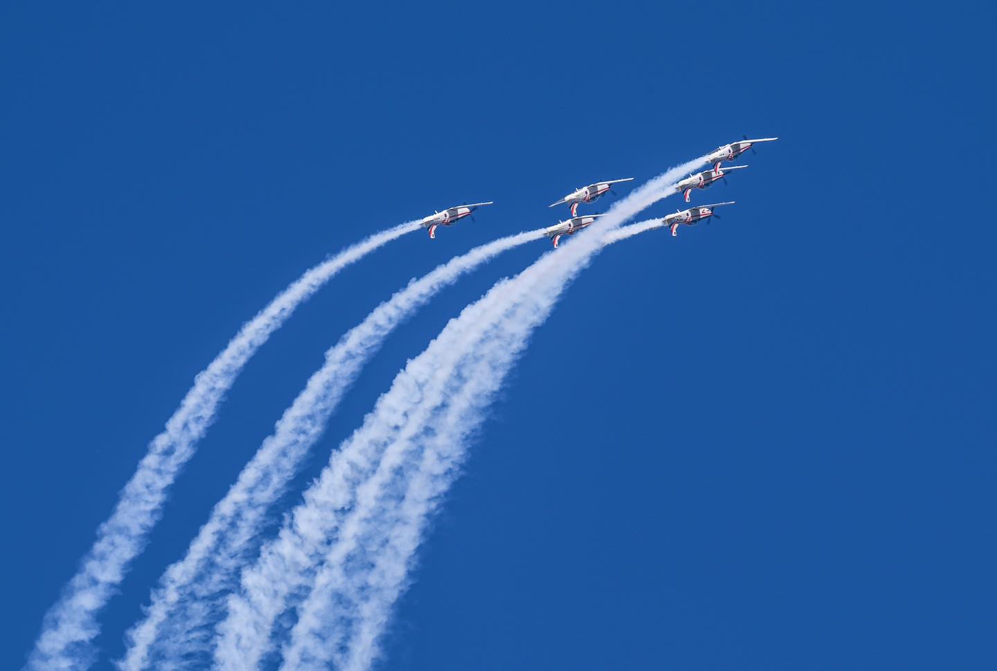 488920985 1192442645875789 1089065333396461539 n